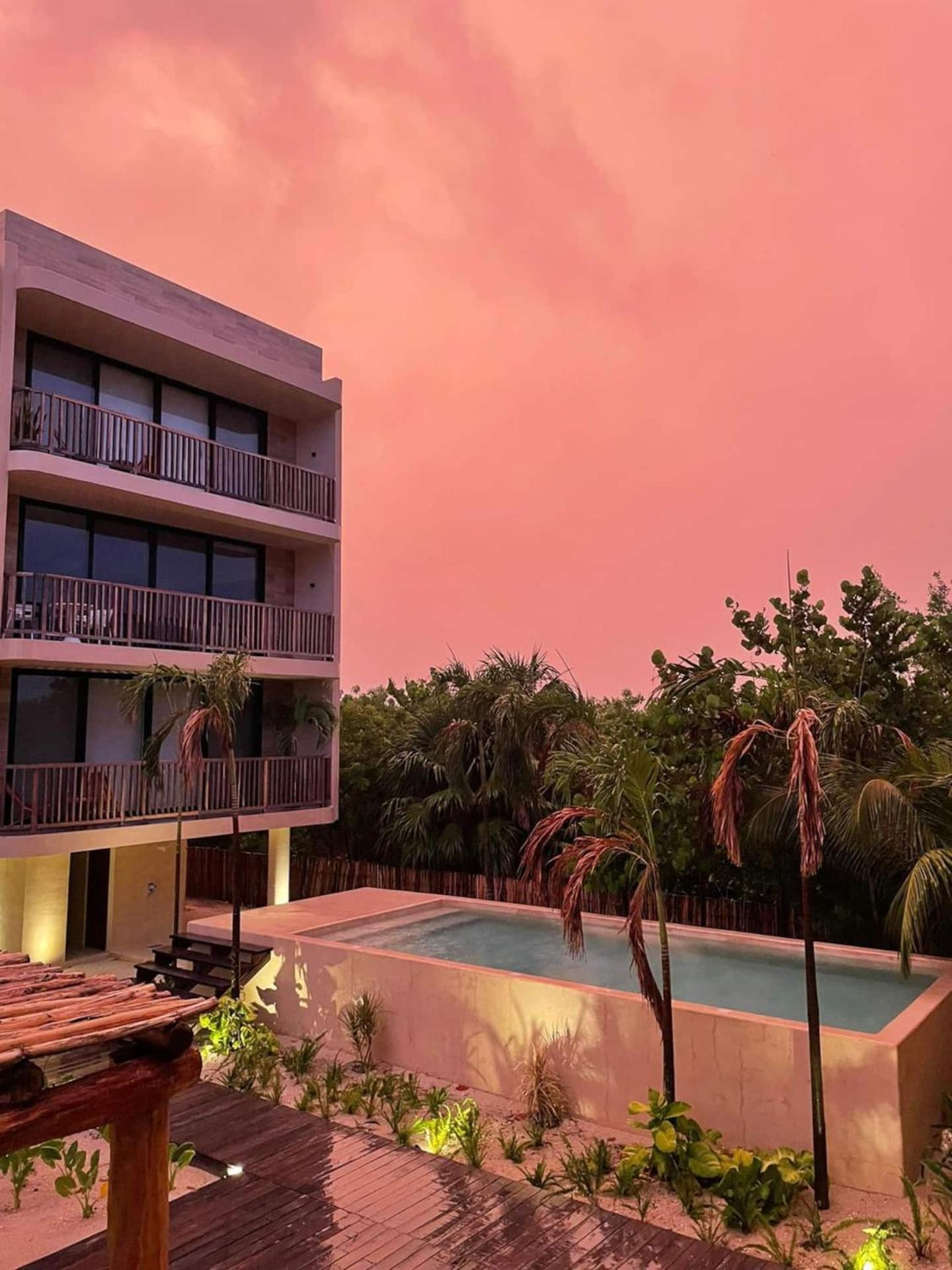 Ocean View Loft In Punta Cocos - C102 Hotel Isla Holbox Exterior foto