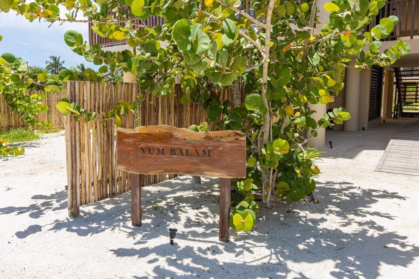 Ocean View Loft In Punta Cocos - C102 Hotel Isla Holbox Exterior foto